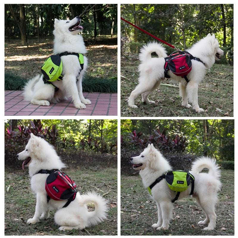 Mochila de Hiking para Cachorros