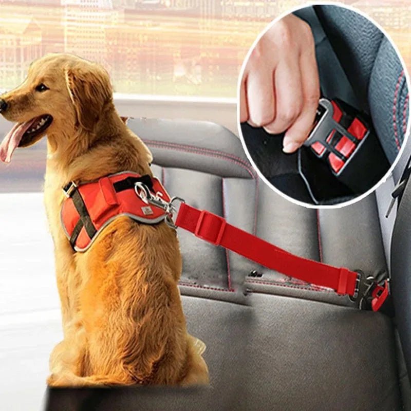 Cinto de Segurança para Pets: Conforto e Segurança em Viagens!