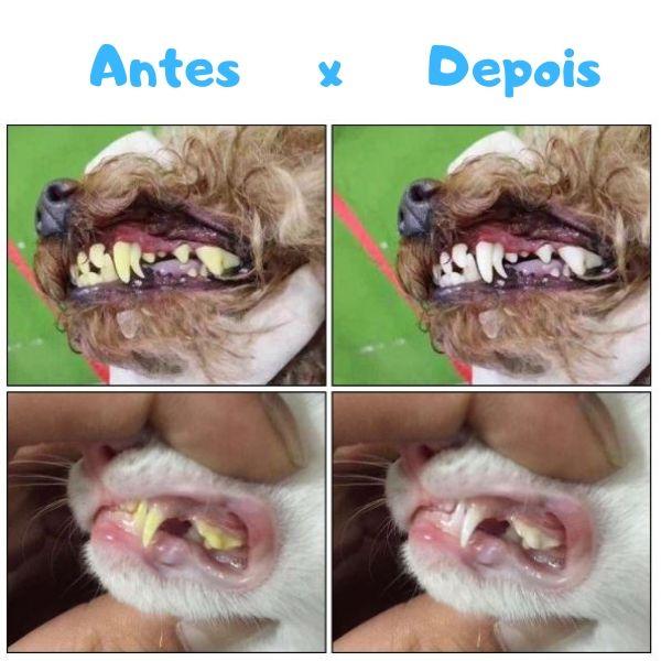 Escova de Dentes Super Clean