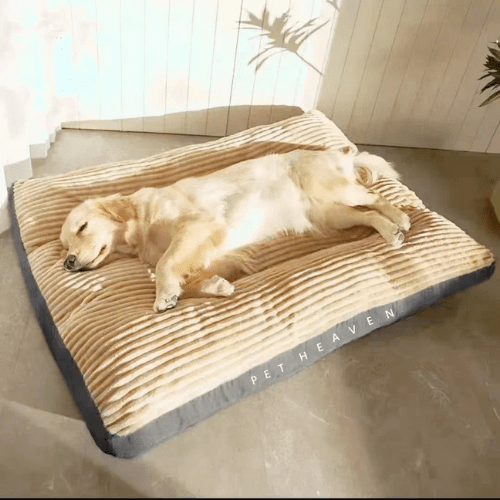 Cama para Cães e Gatos ConfortoMaxi Lavável