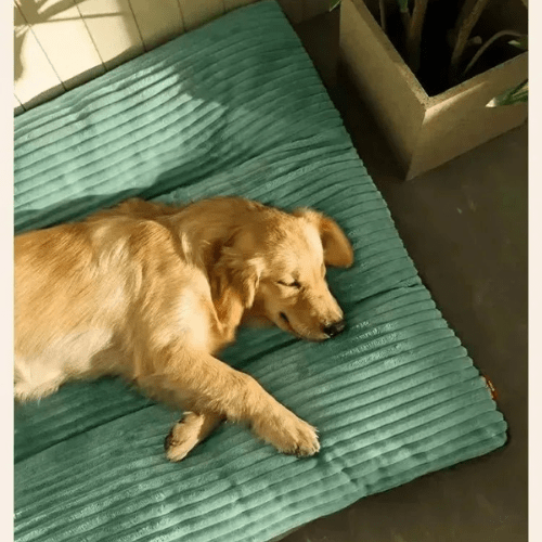 Cama para Cães e Gatos ConfortoMaxi Lavável