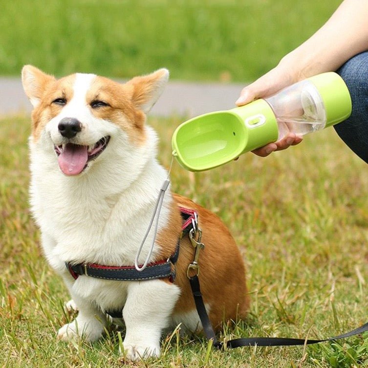 Bebedouro e Alimentador Portátil LOVE para Cães e Gatos