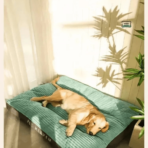 Cama para Cães e Gatos ConfortoMaxi Lavável