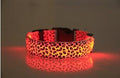 Coleira Leopardo LED