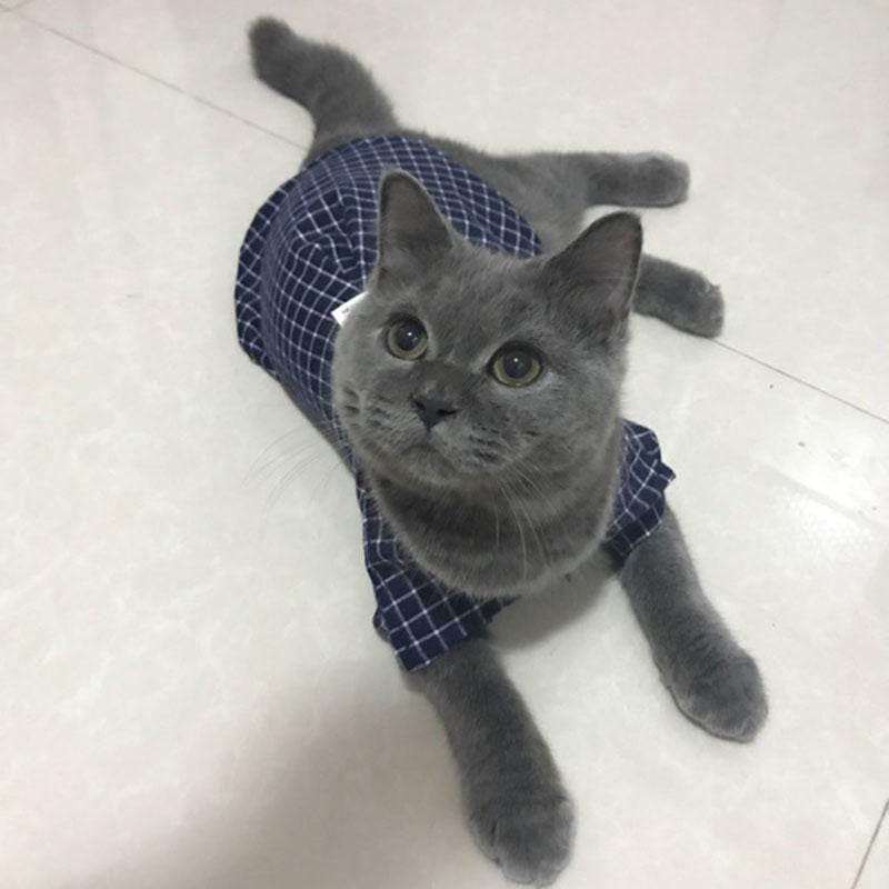 Camisa Super Elegante para Pets