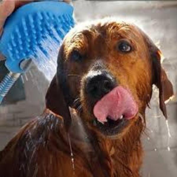 Chuveiro Pet com Massageador PET BATHING