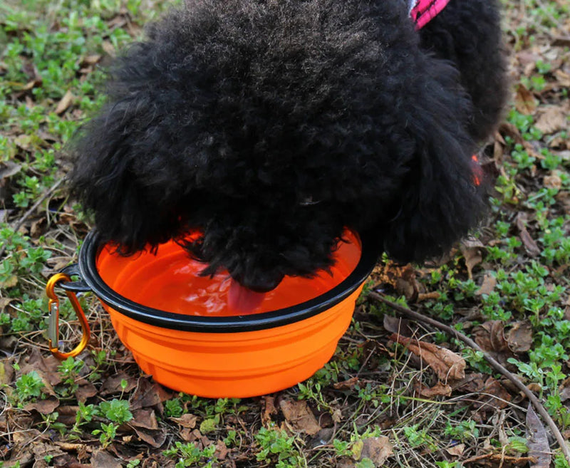 comedouro de Silicone Dobrável p/ Cães e Gatos