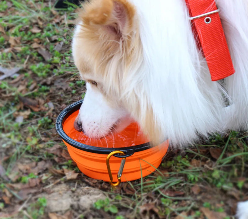 comedouro de Silicone Dobrável p/ Cães e Gatos