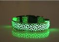 Coleira Leopardo LED