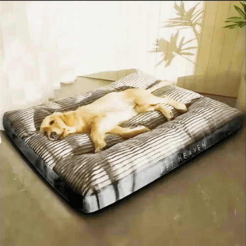 Cama para Cães e Gatos ConfortoMaxi Lavável