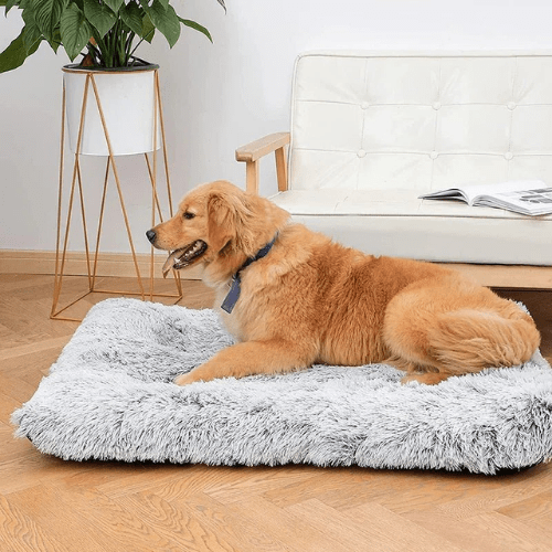 PlushConfort: Cama para Cães e Gatos Ultra Macia